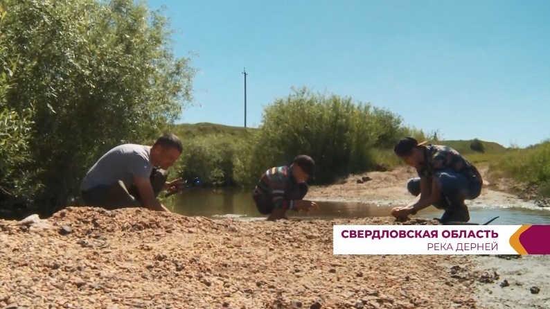 Ловим доисторических акул в реке Дерней
