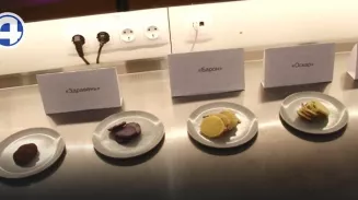 Семена для будущего урожая разрабатывают селекционеры в посёлке Исток Семена для будущего урожая разрабатывают селекционеры в посёлке Исток