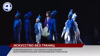 Инклюзивный спектакль Инклюзивный спектакль