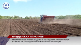148 миллионов рублей выделено на субсидирование производителей молочной продукции