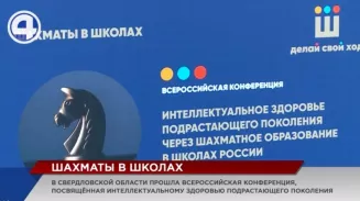 Шахматы могут стать обязательным предметом в школах Свердловской области Шахматы могут стать обязательным предметом в школах Свердловской области