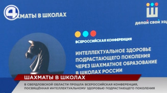 Шахматы могут стать обязательным предметом в школах Свердловской области Шахматы могут стать обязательным предметом в школах Свердловской области