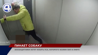 Еще один изверг избивает пса в лифте Еще один изверг избивает пса в лифте