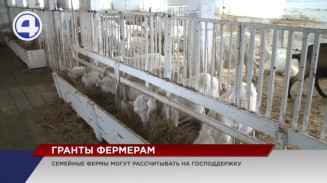 Свердловские власти распределят гранты семейным фермам и сельхозпотребкооперативам Свердловские власти распределят гранты семейным фермам и сельхозпотребкооперативам