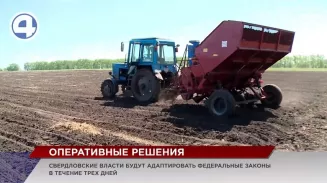 Импортозамещение позволит успешно провести посевную кампанию Импортозамещение позволит успешно провести посевную кампанию