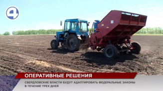 Импортозамещение позволит успешно провести посевную кампанию Импортозамещение позволит успешно провести посевную кампанию