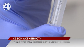 У свердловчан есть время успеть защититься от клещей У свердловчан есть время успеть защититься от клещей