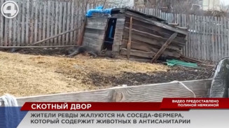 Тела животных на улице Тела животных на улице