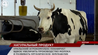 Уральский агрокомплекс планирует вдвое увеличить производство молока и развивать органическое земледелие Уральский агрокомплекс планирует вдвое увеличить производство молока и развивать органическое земледелие