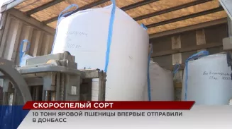 Богатый уральский урожай заколосится на полях юга России и Донбасса Богатый уральский урожай заколосится на полях юга России и Донбасса
