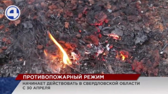 С 30 апреля в Свердловской области начнёт действовать особый противопожарный режим С 30 апреля в Свердловской области начнёт действовать особый противопожарный режим