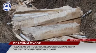 Жителей Кедровки перепугала свалка люминесцентных ламп в лесу по соседству Жителей Кедровки перепугала свалка люминесцентных ламп в лесу по соседству