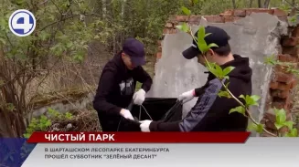 Полторы тонны мусора собрали эко-активисты в прибрежной зоне озера Шарташ Полторы тонны мусора собрали эко-активисты в прибрежной зоне озера Шарташ