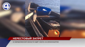 25 уголовных дел за браконьерство заведено на свердловских рыбаков с начала сезона нереста