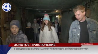 Свердловской области грозит новая эпидемия «золотой лихорадки» Свердловской области грозит новая эпидемия «золотой лихорадки»