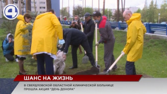 Всероссийская акция «День донора» прошла в 1-й Свердловской областной клинической больнице Всероссийская акция «День донора» прошла в 1-й Свердловской областной клинической больнице