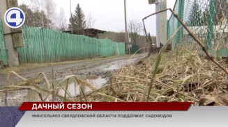 Выращивать овощи на грядках стало дороже Выращивать овощи на грядках стало дороже