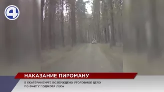 В Екатеринбурге возбудили первое уголовное дело за умышленный поджога леса В Екатеринбурге возбудили первое уголовное дело за умышленный поджога леса