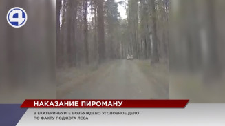 В Екатеринбурге возбудили первое уголовное дело за умышленный поджога леса В Екатеринбурге возбудили первое уголовное дело за умышленный поджога леса