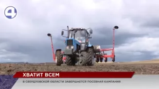В Свердловской области будут выращивать в три раза больше кукурузы В Свердловской области будут выращивать в три раза больше кукурузы