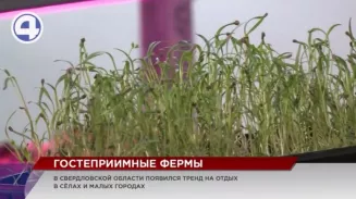 Тренд на агротуризм: уральцы стали чаще путешествовать по деревням Тренд на агротуризм: уральцы стали чаще путешествовать по деревням