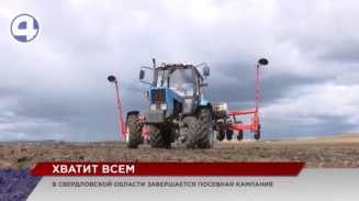 В Свердловской области будут выращивать в три раза больше кукурузы В Свердловской области будут выращивать в три раза больше кукурузы