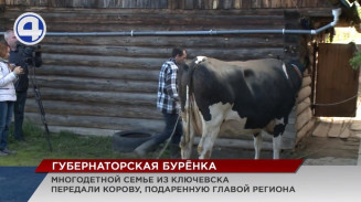 Многодетной семье из посёлка Ключевска доставили долгожданную корову от губернатора Многодетной семье из посёлка Ключевска доставили долгожданную корову от губернатора