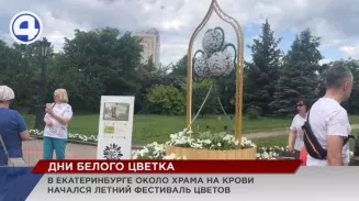 В Екатеринбурге проходит фестиваль «Дни белого цветка» В Екатеринбурге проходит фестиваль «Дни белого цветка»