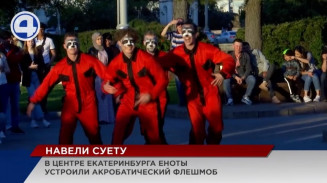 Незнакомцы в костюмах енотов утроили танцевальный перфоманс на набережной Екатеринбурга Незнакомцы в костюмах енотов утроили танцевальный перфоманс на набережной Екатеринбурга