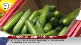 Цены на овощи, которые выращивают в Свердловской области, снизятся Цены на овощи, которые выращивают в Свердловской области, снизятся