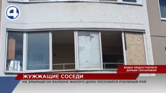 В Екатеринбурге пчёлы облюбовали балкон в многоэтажке В Екатеринбурге пчёлы облюбовали балкон в многоэтажке