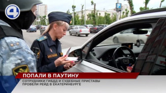 Должники попали в паутину Должники попали в паутину