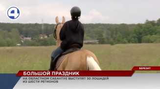На областной сабантуй пожалует знаменитая лошадь-спринтер Харли Квин На областной сабантуй пожалует знаменитая лошадь-спринтер Харли Квин