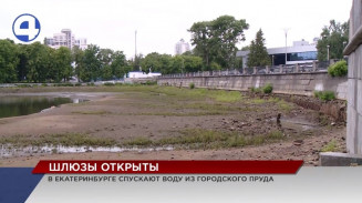 Жители Екатеринбурга скоро смогут погулять по дну городского пруда Жители Екатеринбурга скоро смогут погулять по дну городского пруда