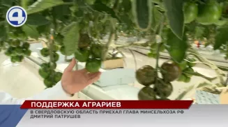 В Свердловской области на поддержку аграриев направлено больше четырёх миллиардов рублей В Свердловской области на поддержку аграриев направлено больше четырёх миллиардов рублей