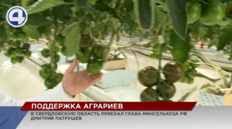 В Свердловской области на поддержку аграриев направлено больше четырёх миллиардов рублей В Свердловской области на поддержку аграриев направлено больше четырёх миллиардов рублей