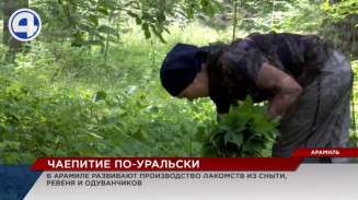 Производство экосладостей и разносолов из даров уральской природы развивают в Арамили Производство экосладостей и разносолов из даров уральской природы развивают в Арамили