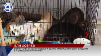 О том, что супруги в доме по улице Малышева скончались, соседи узнали… по запаху О том, что супруги в доме по улице Малышева скончались, соседи узнали… по запаху