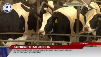 В Красноуфимском районе построена инновационная молочная ферма В Красноуфимском районе построена инновационная молочная ферма