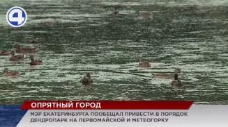 Екатеринбург в ближайшее время станет еще чище и красивее Екатеринбург в ближайшее время станет еще чище и красивее