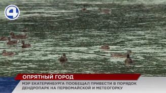 Екатеринбург в ближайшее время станет еще чище и красивее Екатеринбург в ближайшее время станет еще чище и красивее