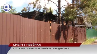 4-летняя девочка погибла во время пожара в садовом товариществе 4-летняя девочка погибла во время пожара в садовом товариществе