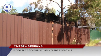 4-летняя девочка погибла во время пожара в садовом товариществе 4-летняя девочка погибла во время пожара в садовом товариществе