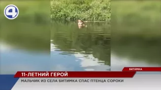 11-летний мальчик из села Битимка под Первоуральском спас двух птенцов сороки 11-летний мальчик из села Битимка под Первоуральском спас двух птенцов сороки