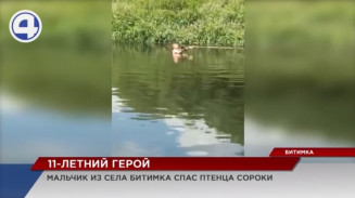 11-летний мальчик из села Битимка под Первоуральском спас двух птенцов сороки 11-летний мальчик из села Битимка под Первоуральском спас двух птенцов сороки