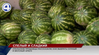 На прилавках Урала появились арбузы: как сделать правильный выбор? На прилавках Урала появились арбузы: как сделать правильный выбор?