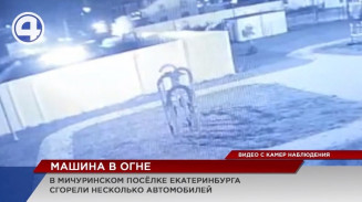 В посёлке Мичуринском огонь уничтожил один автомобиль и повредил два соседних В посёлке Мичуринском огонь уничтожил один автомобиль и повредил два соседних