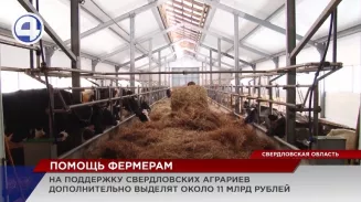 Почти 11 млрд рублей дополнительно направят на поддержку свердловских аграриев Почти 11 млрд рублей дополнительно направят на поддержку свердловских аграриев
