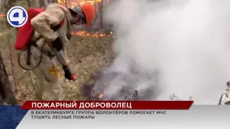 На территории Свердловской области действуют 6 лесных пожаров На территории Свердловской области действуют 6 лесных пожаров