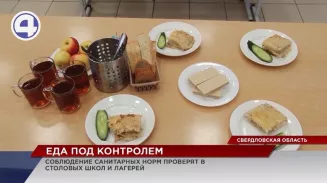 Свердловский губернатор будет лично пробовать еду в школьных столовых Свердловский губернатор будет лично пробовать еду в школьных столовых